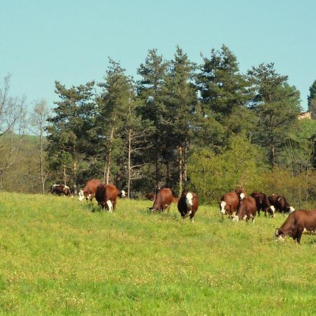 Gites A La Ferme De Bacon Saint-Sylvestre  Ngoại thất bức ảnh